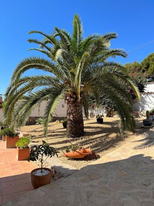 Casa Serenita Charming Villa With Swimming Pool Γιαβέα Εξωτερικό φωτογραφία