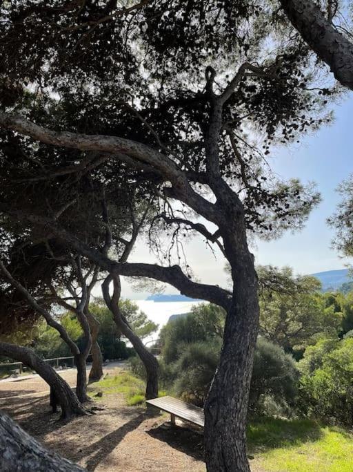 Casa Serenita Charming Villa With Swimming Pool Γιαβέα Εξωτερικό φωτογραφία